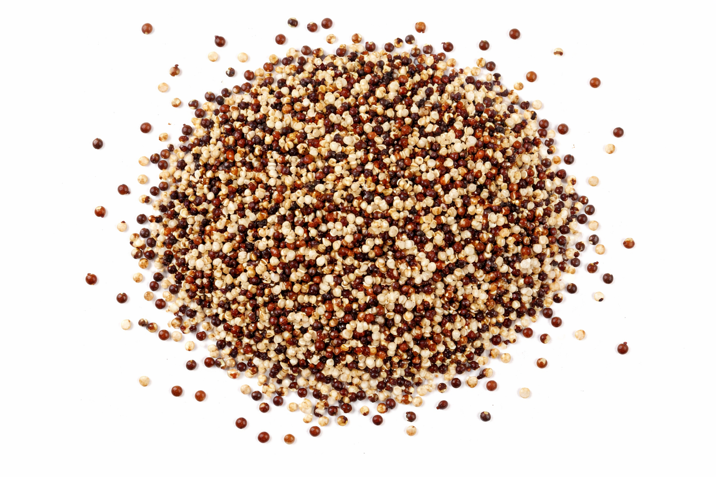 Bio Quinoa Tricolor – Mischung aus weißer, roter und schwarzer Quinoa für gesunde Bowls und Beilagen