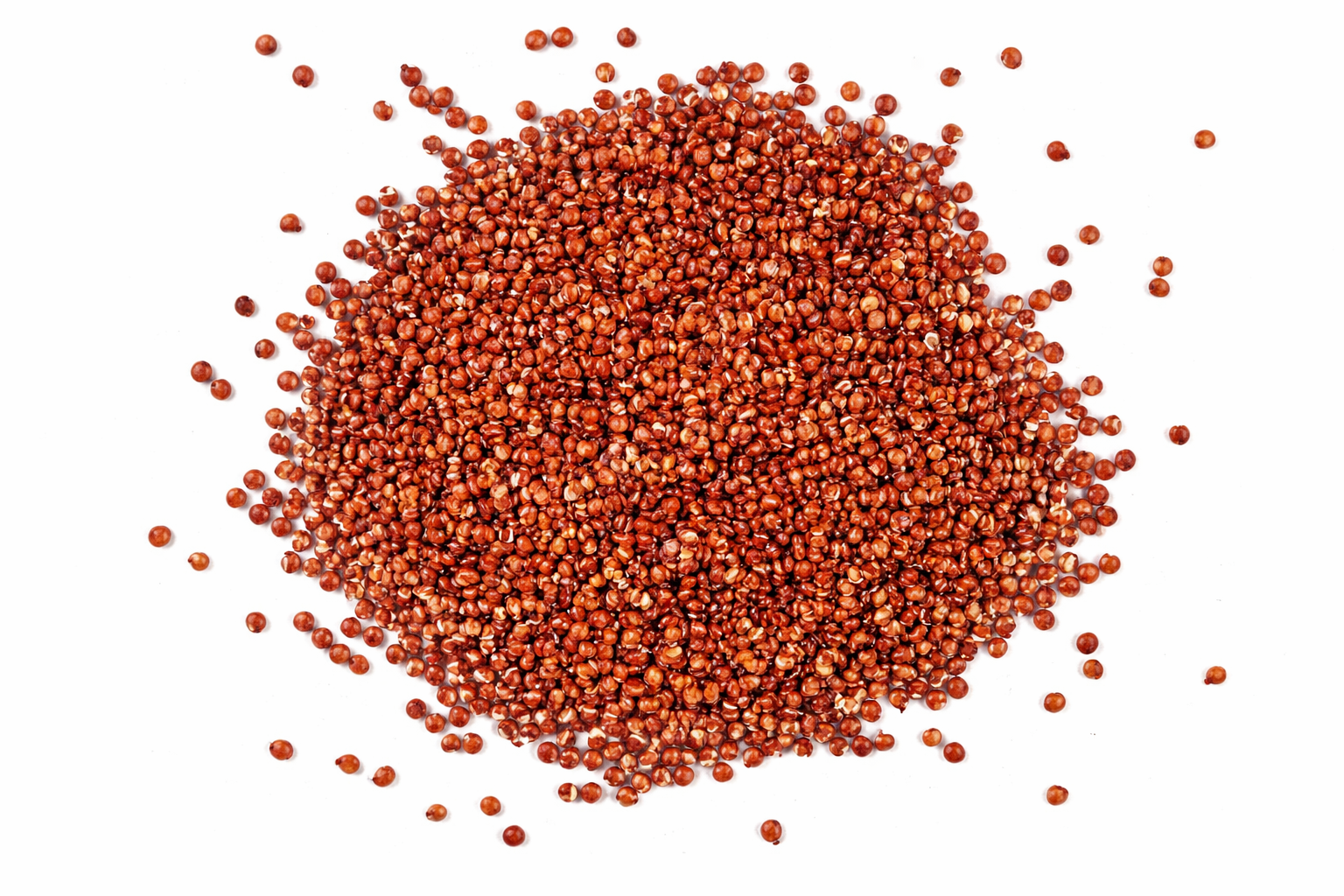 Bio Quinoa rot – hochwertige rote Quinoa als glutenfreie Beilage für gesunde Ernährung