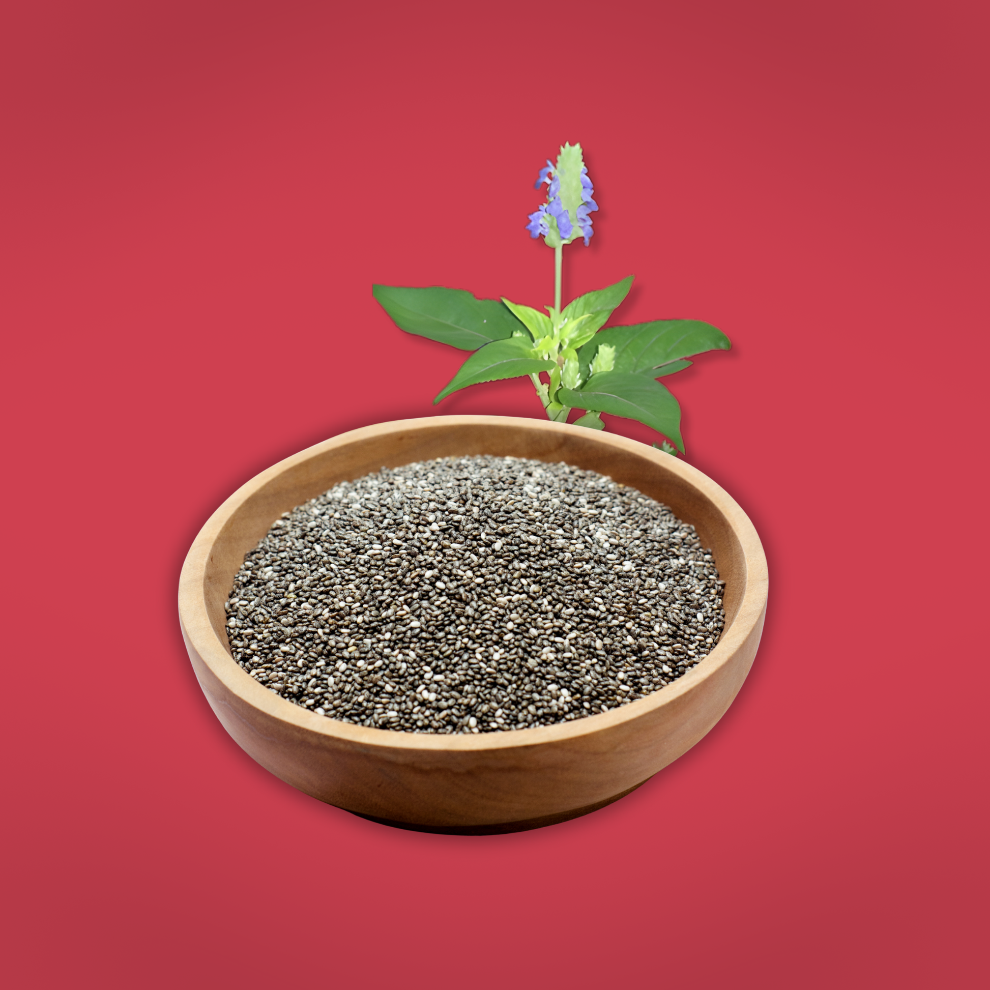 Bio Chia Samen in Schale – Superfood für gesunde Ernährung und Clean Eating