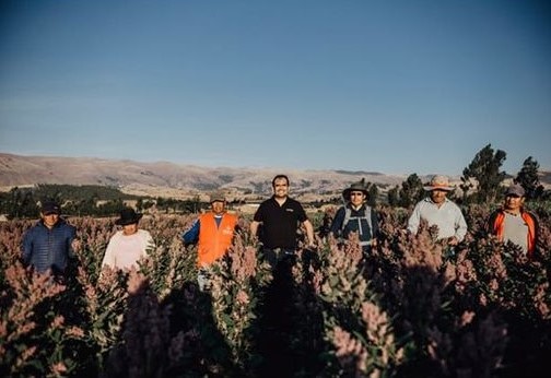 Peruanische Bauern im Quinoa-Feld
