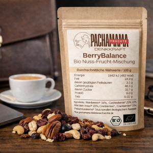 BerryBalance – Bio Nuss-Frucht-Mix