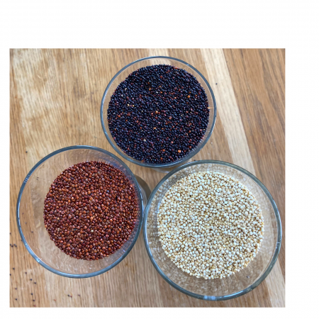Gemischte Bio-Quinoa in Gläsern